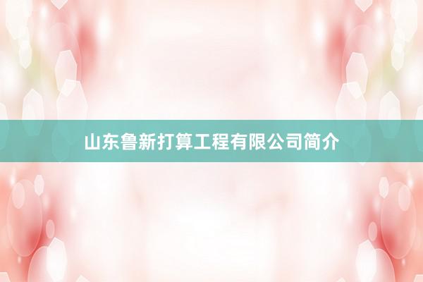 山东鲁新打算工程有限公司简介
